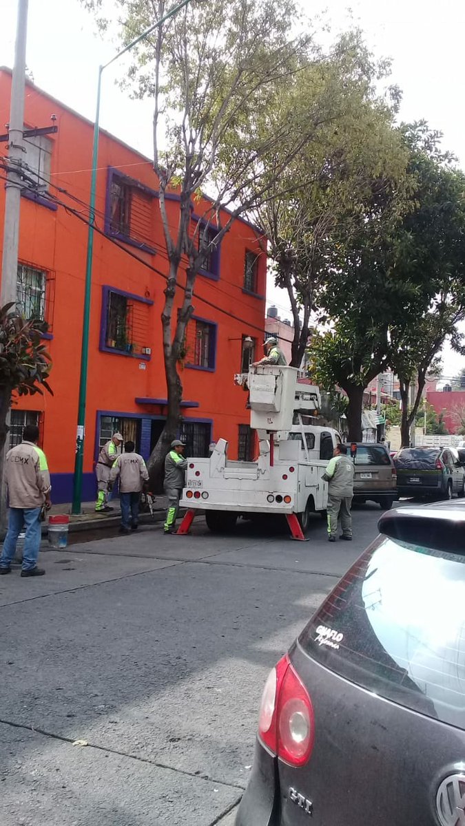 DTepitoGuerrero's tweet photo. Se realizó poda en calle Ogazón colonia @LaGuerreroDF, en atención a #SolicitudVecinal de los habitantes de #ElCorazónDeMéxico. https://t.co/KcuKJr8T7Z