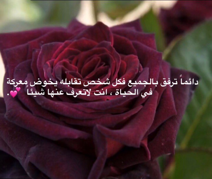 anoar_abdullah's tweet photo. https://t.co/fWEIiFT2vN