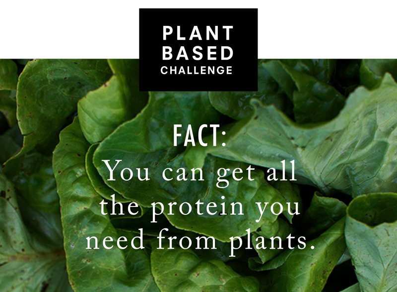 Find out how -- join the Plant-Based Challenge: bit.ly/2OQ35B4