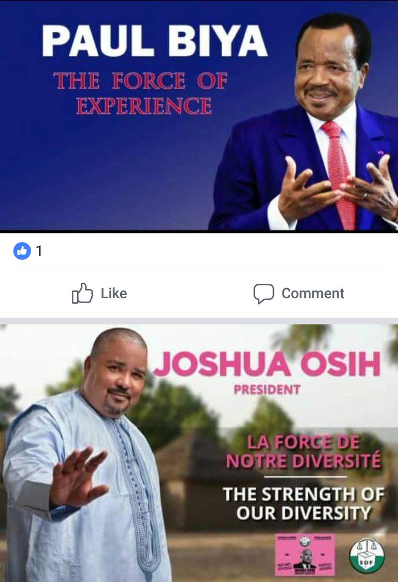 AAchomba's tweet photo. Someone needed  to insist that THE FORCE OF EXPERIENCE guy puts up his 85 year old sunken face. The "EXPERIENCE " would be very  glaring. @Mimimefo237 @eliesmith @SenatorPenn @LeahHardingAJE @LeanneManas @HonWirbaJoseph  @NALOWA1 @dzemoromuald @judithnwana https://t.co/OflndL52uM