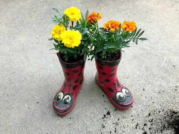ThriftyFun's tweet photo. “My son is now on his 4th set of ladybug boots. When he outgrew his last pair we decided to make planters out of them!” https://t.co/rD73R6qKb9 #bootplanter #gardening #creativeplanter #thriftyfun https://t.co/LeSLLBsbnr