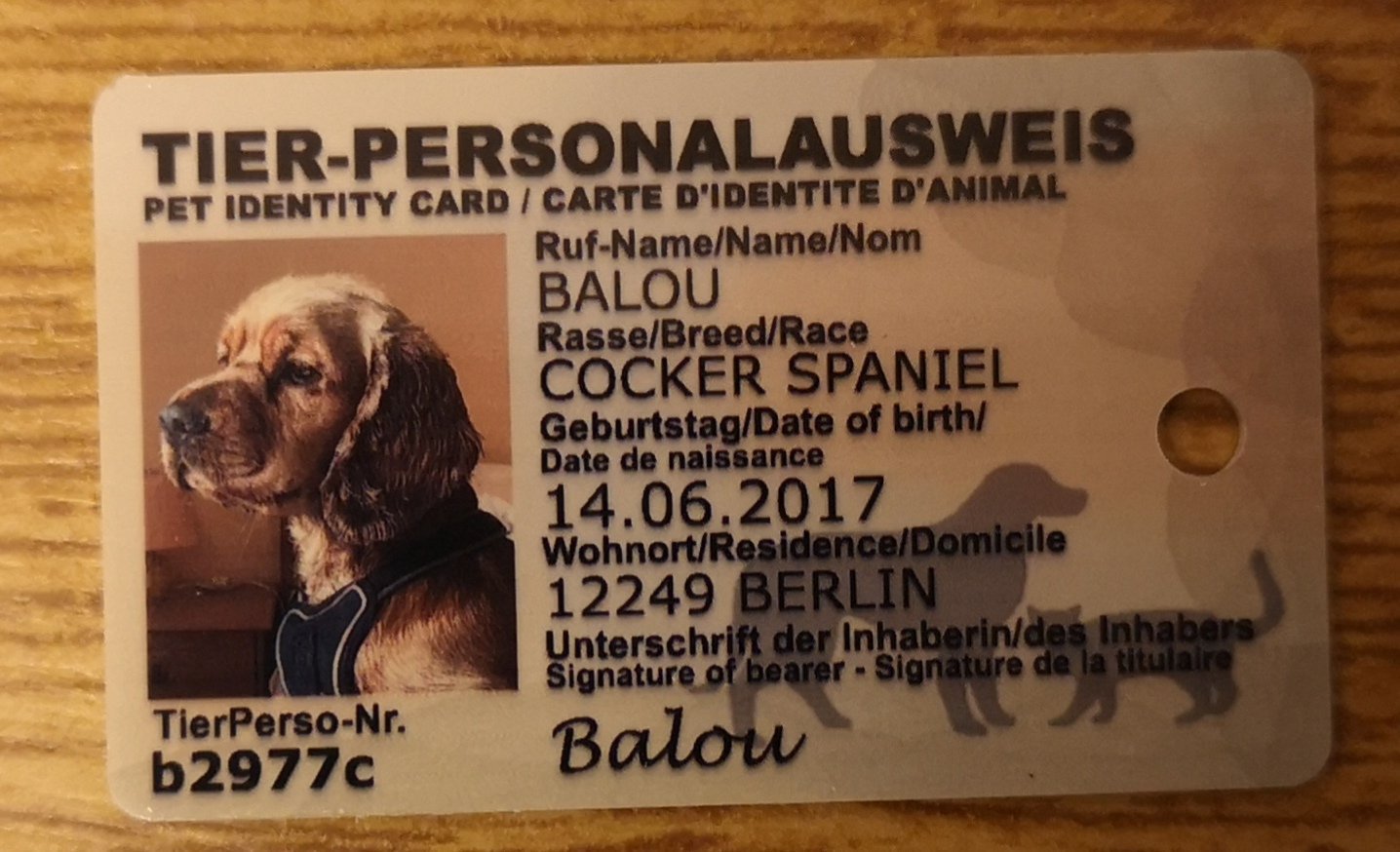 Michael Pemp Mastodon: @mpempi@norden.social on X:  t.co3CVhah0q8d  X