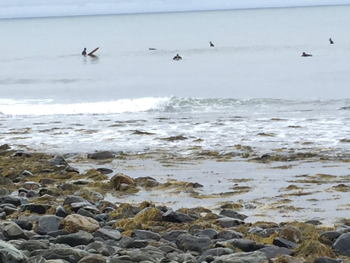 SH_BordenColley's tweet photo. This scene of today’s assignment, my friends, is the reason why I never wear high heels to work! That’s definitely not me surfing on the water. #CowBay #NovaScotia #bigwaves #roughterrain #slipperyrocks https://t.co/5IxVbjh72e