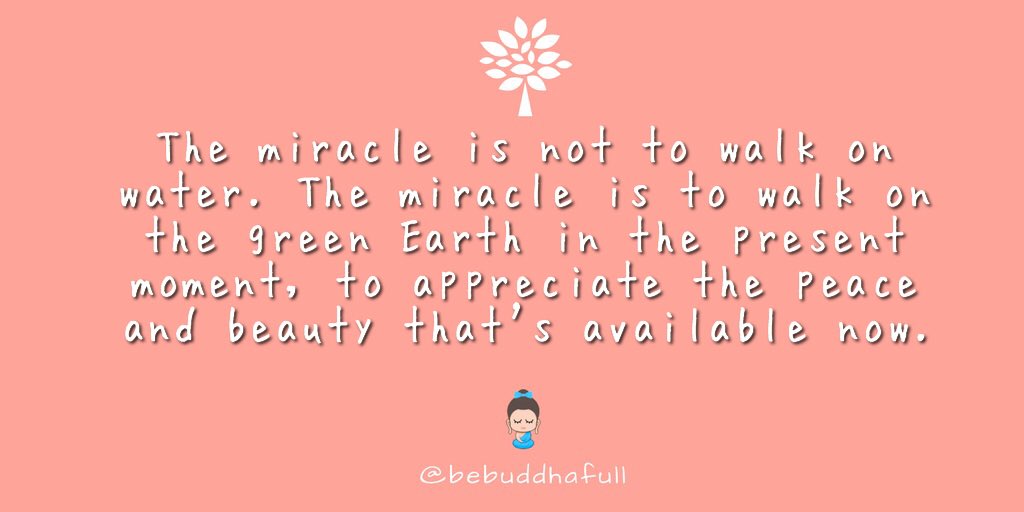 buddhafuI's tweet photo. https://t.co/hzv8civPaD