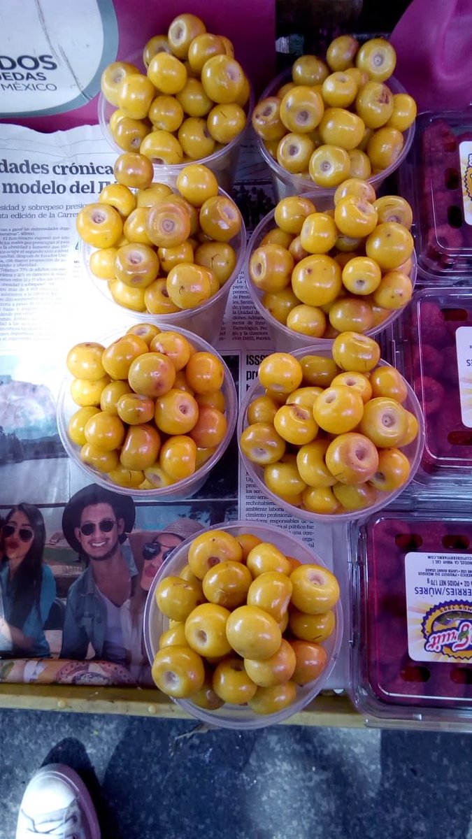 MSR_CDMX's tweet photo. Maracuyá negro, feijoa, curuba y nanche ¿Cuántas de estas frutas ya conoces? Visita los Mercados Sobre Ruedas y pruébalas. Hay gran variedad @CDeAbastoCDMX @SedecoCDMX @JulenLDG @CaballeroFcoMx @hosheaf #frutasexoticas #fruta #abasto #frutadeldia @RolandoMercados #HazMandado https://t.co/2VAiNkjf9G