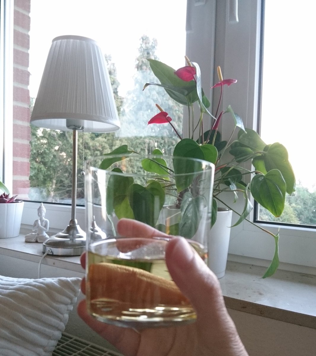 parttime_witch's tweet photo. I feel inadequate tonight. So here's to me. A lovely chilled white from a simple glass. Long may they sneer.
#cheers #longmaytheysneer #herestome https://t.co/mvG1Lk8o71