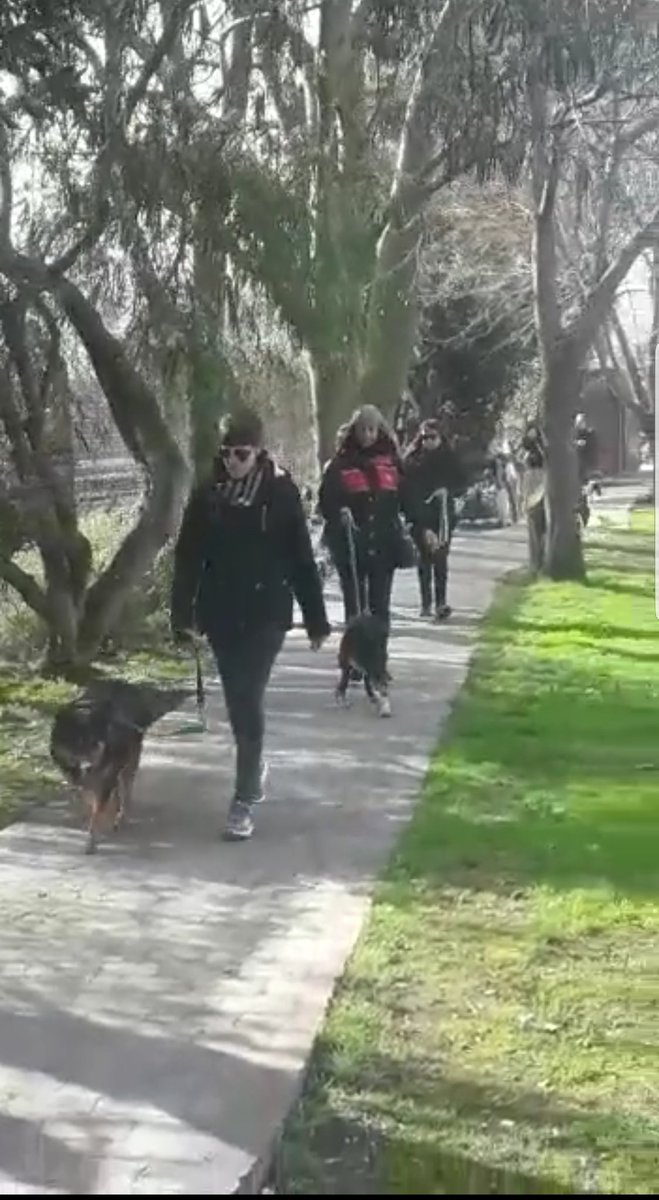 _animales5's tweet photo. El bienestar animal ES POSIBLE!! Y sino vean el zoonosis de San Martin.. Gracias a que permitieron voluntarios pueden pasear 2 veces por semana. Última foto, zoonosis 3 de Febrero, VERGÜENZA Y DOLOR COMO VIVEN!!! Eso es maltrato sr Valenzuela y Laura Pujol https://t.co/kuz8Uu1uzY