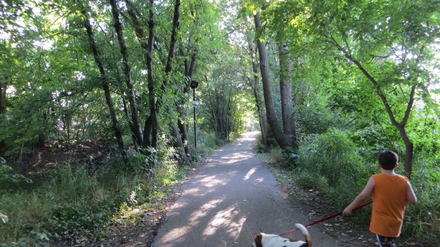VisitSouthland's tweet photo. Plan a #teambonding outing AND explore the #greatoutdoors this #fall at the Wolfe #Wildlife Refuge and #BikePath in #OakLawn. Read more about the #animalhabitats, 45-acre #wetlandpreserve, and #natureprograms for all ages by clicking here: https://t.co/vmyPrTbEeF https://t.co/1sRZlURq0R