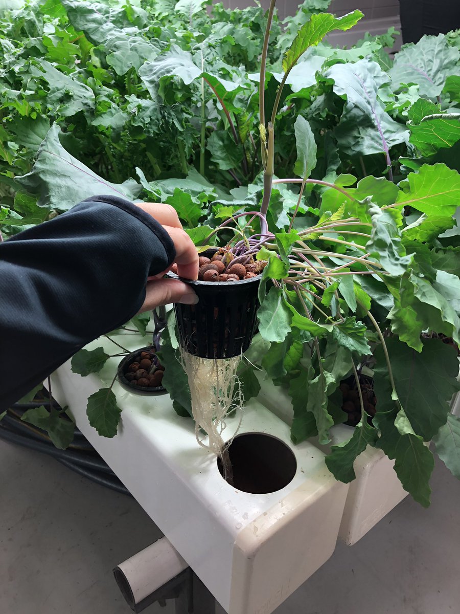 MsLichtenwald's tweet image. Loving all the hands on experiences @FoxValleyTech today! #Knowledgethatworks