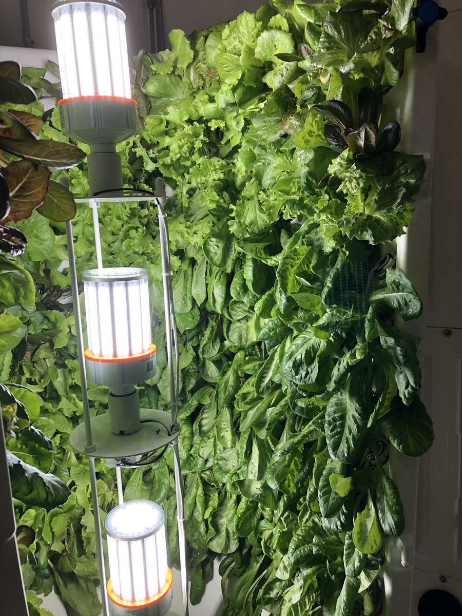 MsLichtenwald's tweet image. Loving all the hands on experiences @FoxValleyTech today! #Knowledgethatworks