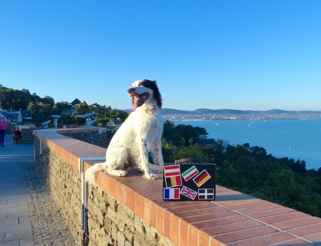 Tweet_Bus Ticket tweet media