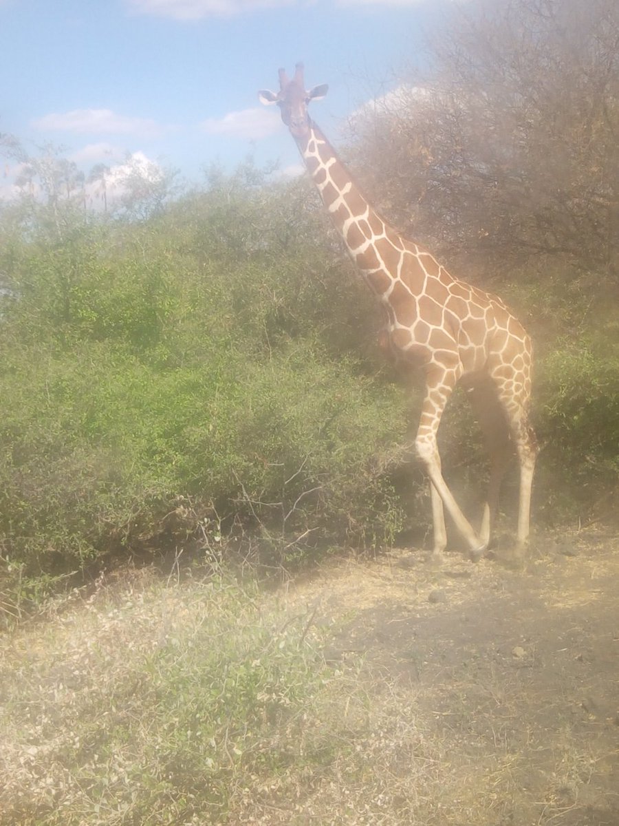MutumaKE's tweet photo. #incrediblemeru https://t.co/Uz3YKw80tL