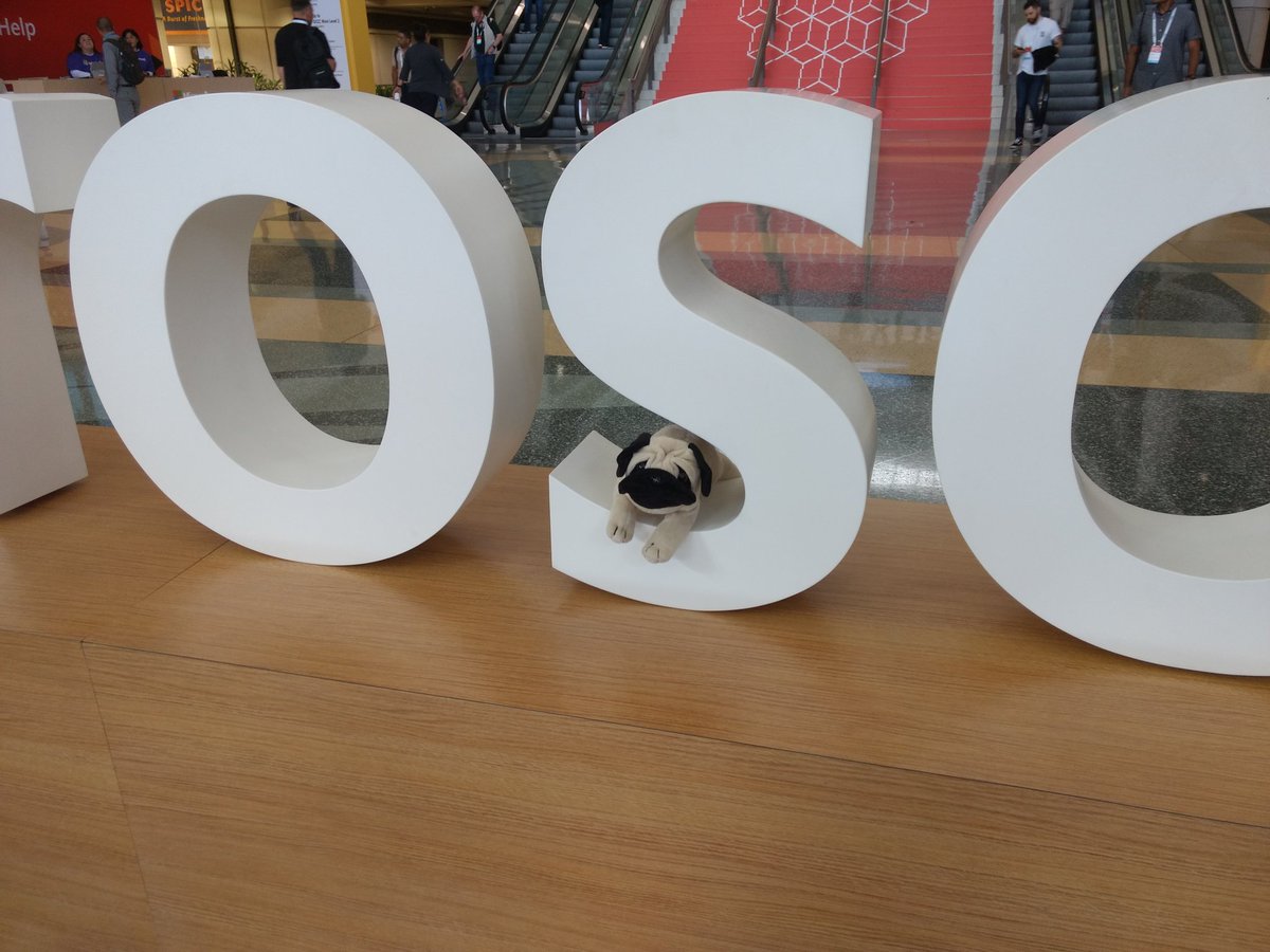 erucsbo's tweet photo. The S in the Microsoft sign at #MSIgnite isn't Micro"soft" enough for snoozing. People are getting sore feet from walking around but remember that pugs have twice as many feet and take a lot more steps! We'll blame the #TransVault marketing team for being on a winner. https://t.co/wEw4xs4HNO