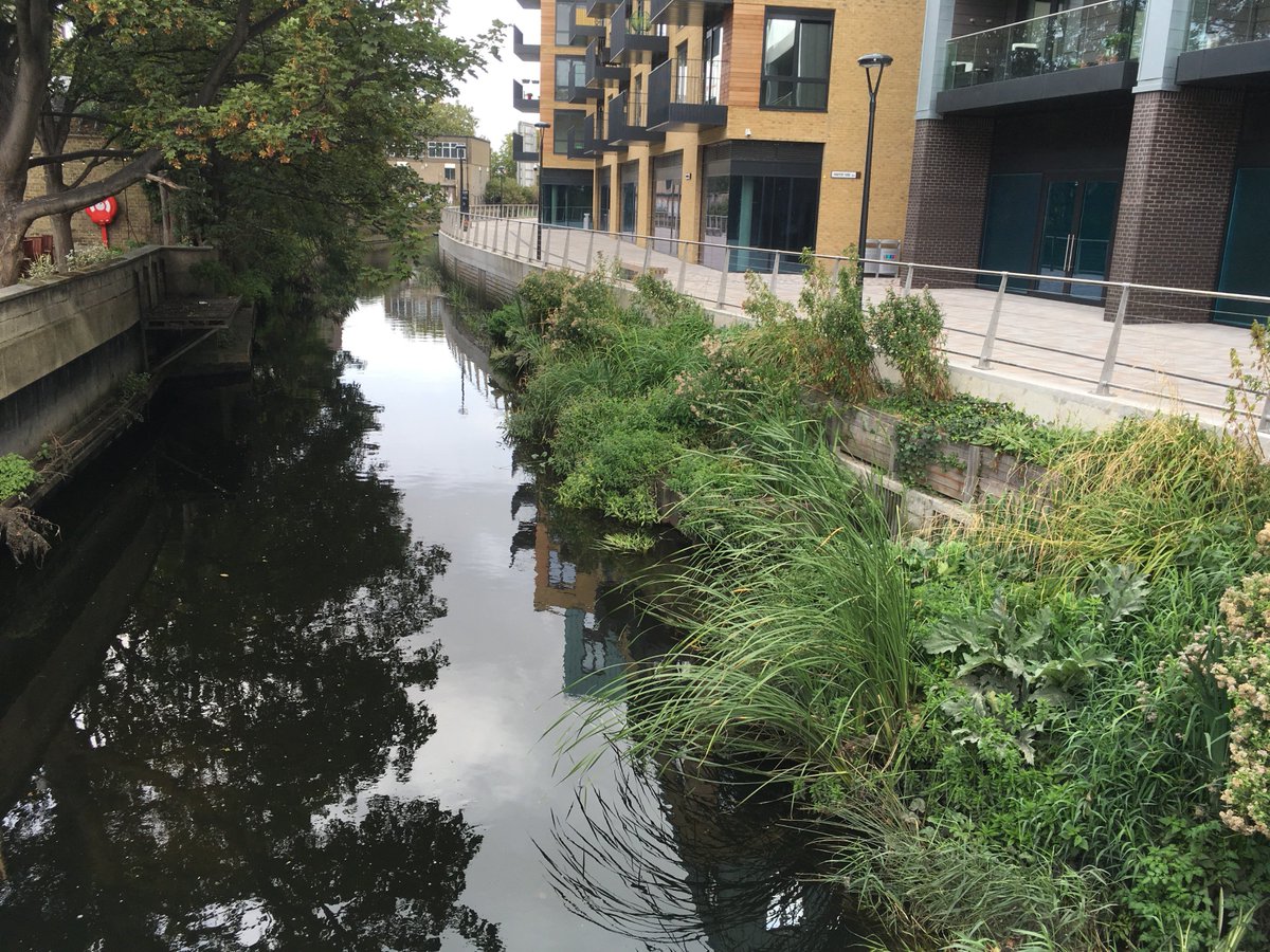 markmclellan's tweet photo. Wandle Fortnight 2018. Beer, a long walk and a short walk. Blog post: https://t.co/7fjIwYrgUh @wandlevalley @WandleBF @BuildingExplore @WandleForum @agrapenightin @LDWA1 #wandlefortnight https://t.co/XyvNBt012Z