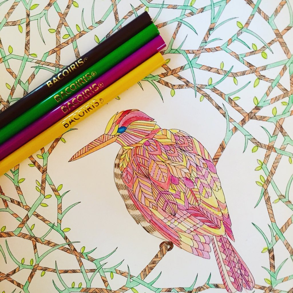 BACO_SA's tweet photo. Hecho con Bacoiris #baco #bacoiris #colores #lapices #colors #pencils #drawing #art #cdmx #logo #design #hechoenmexico #conBdebueno #mexico https://t.co/5cDVZvH0TU