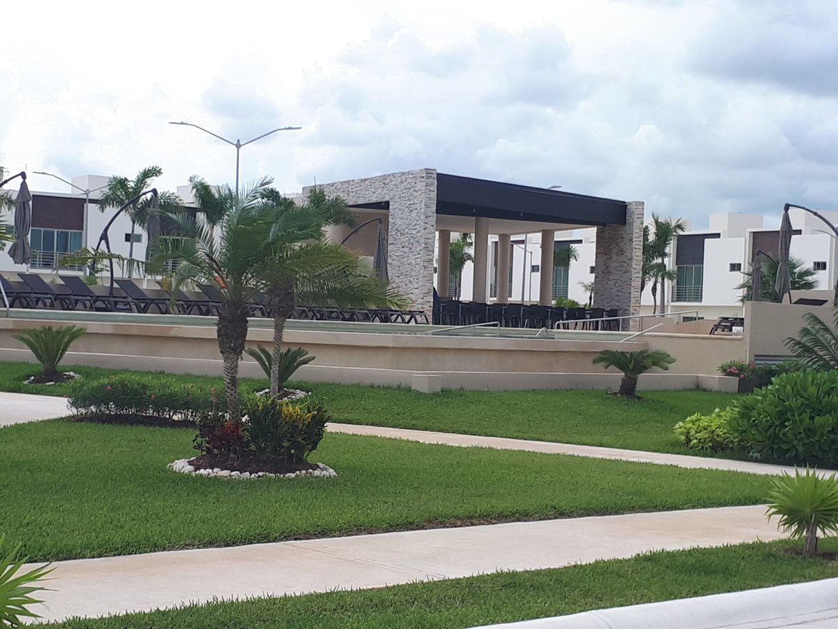 Dora *** Real Estate tweet media