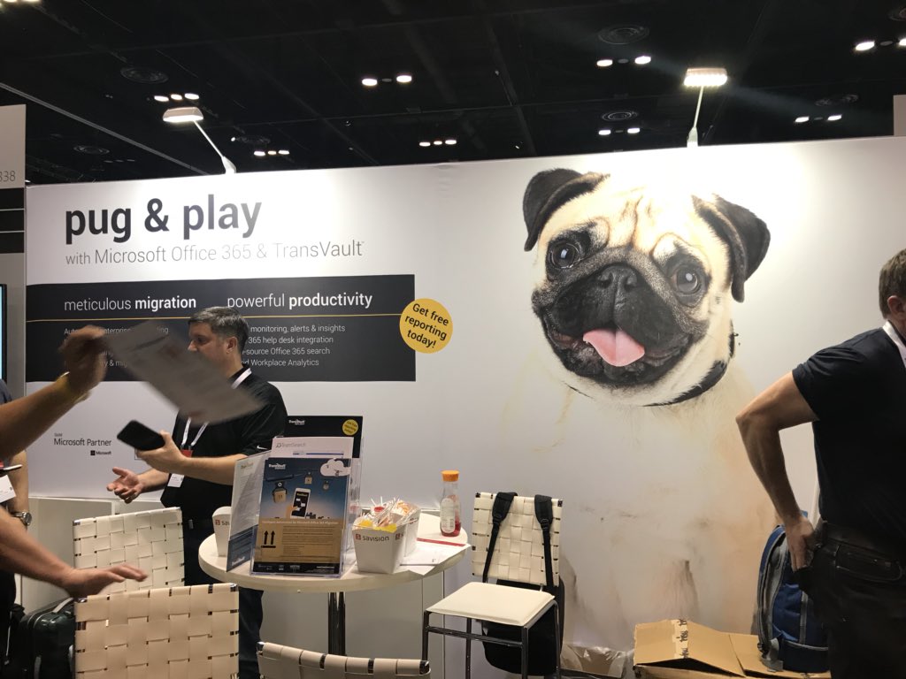 Alethea Reid tweet media