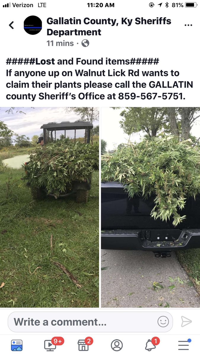 <a href="/Nolan4Wilson/">Nolan Wilson</a>, y’all wild for this.