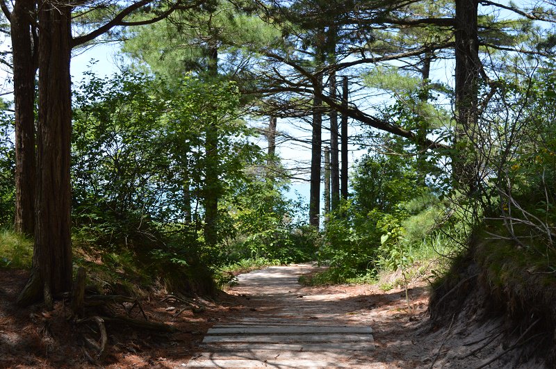 OntSouthwest's tweet photo. Discover the rare habitats & species of @PineryProvPark as you take in the beautiful park and then explore the great eats & drinks of the local area. https://t.co/LqeJWLS1jh #nationalforestsweek https://t.co/7qvUSogsPy