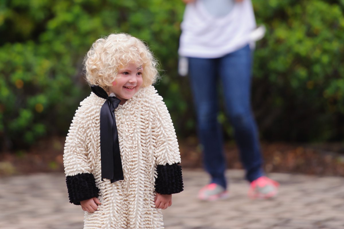 trinityatl's tweet photo. "Itsy bitsy spider
Climbed up the waterspout;
Down came the rain
And washed the spider out;
Out came the sun
And dried up all the rain;
And the itsy bitsy spider
Climbed up the spout again."

Pre-K Nursery Rhyme Parade!
#trinitylearns https://t.co/UehvtDyvsS