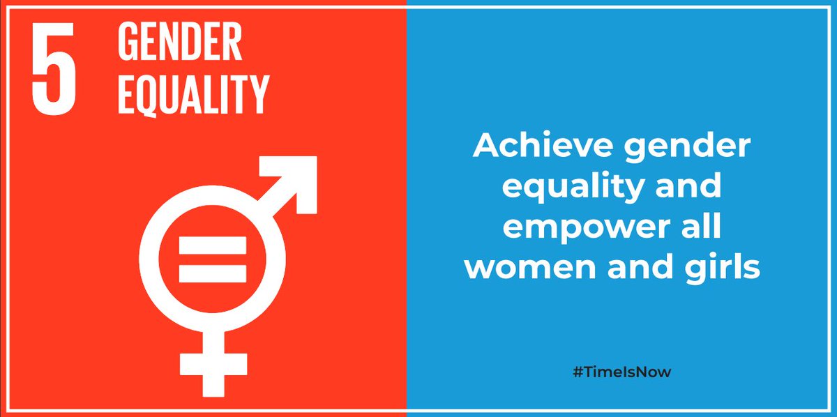Gender equality and women’s empowerment is grossly underfunded. The #TimeIsNow to commit to closing the gender equality gap. #UNGA #SDG5