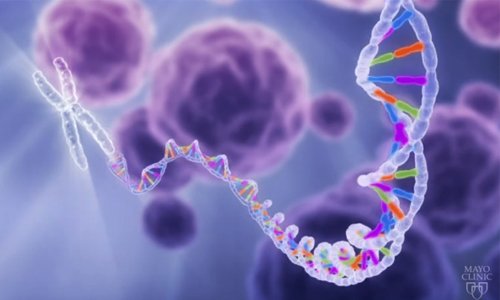 MayoClinicCIM's tweet photo. Gene editing: a miracle treatment or ethical problem? Read what experts had to say about #gene editing and #CRISPR Cas 9 at #CIMCON18
https://t.co/lwi62A2Due https://t.co/B2vt5cSerm