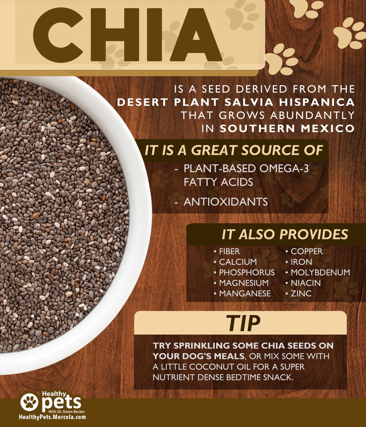 Can Puppies Eat Chia Seeds