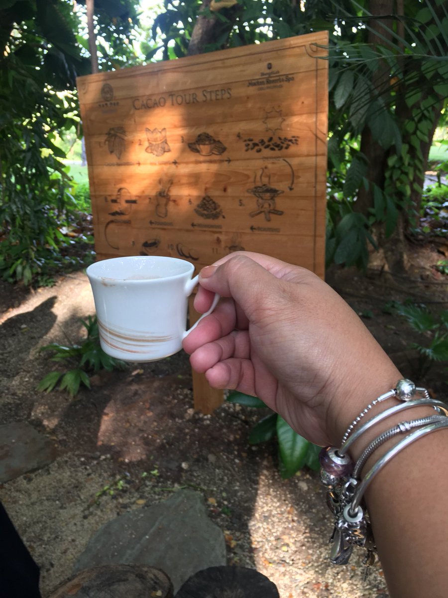 MR_MsDOSM's tweet image. Cacao rituals are traditionally romantic and timelessly delish... ☕️🌿😋#Tablea #Sekwate #MangoAndStickyRice