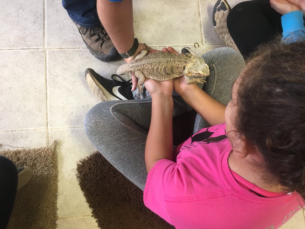 MichaelCorridor's tweet photo. Bulldogs and bearded dragons! #ROMS18Camp https://t.co/9YgwCrtlNG
