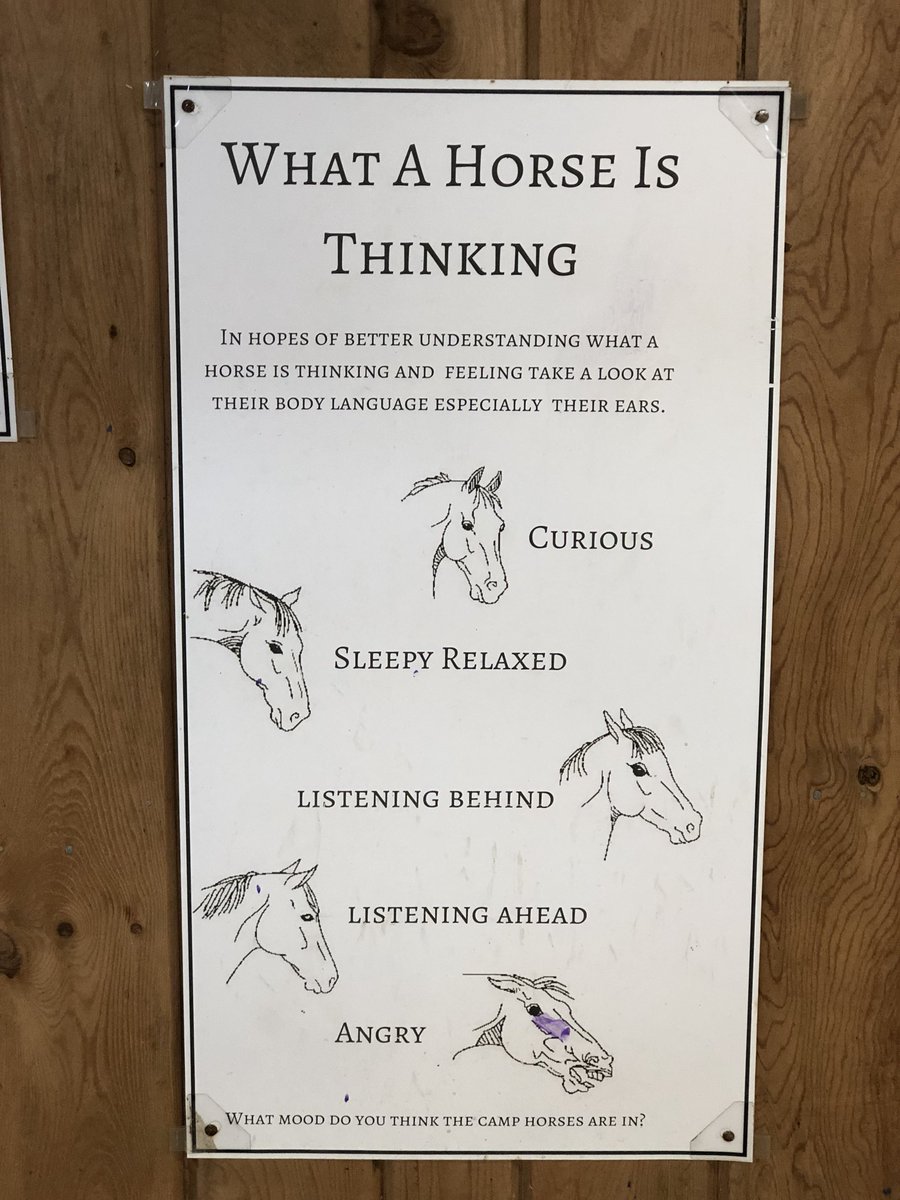 Horse Body Language Chart