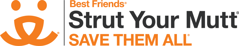 GivingPaws's tweet image. Strut Your Mutt – Saving Dogs doggedhope.com/2018/09/27/str…