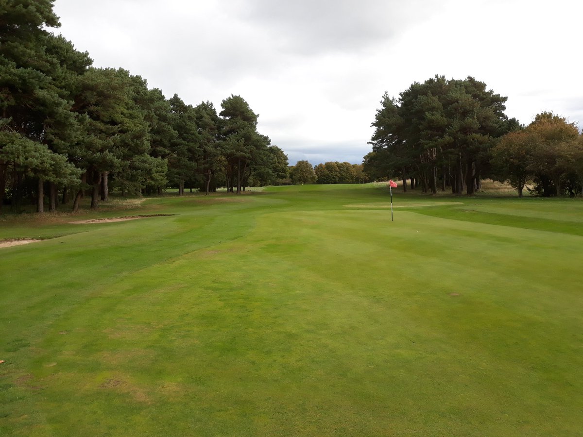 LinksFairways's tweet photo. Travel: On the @EdinburghTrams to play a game this afternoon at @Ed_Leisure municipal Carrick Knowe golf course. #Golf #GolfHistory #Municipal #CityGolf #Trams #UnlockScotland #Travel https://t.co/ZBLjHau4C8