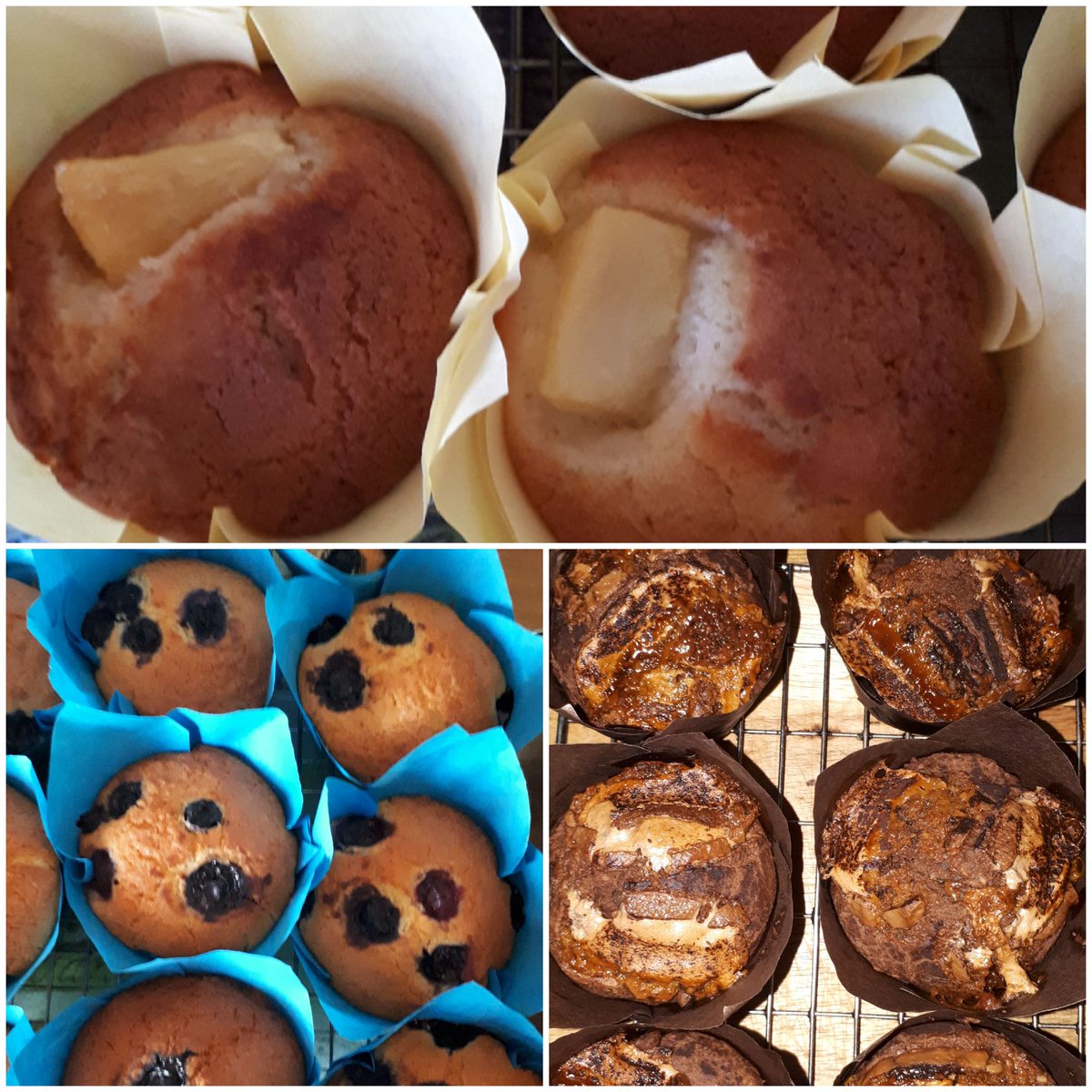 GLUTEN FREE MUFFINS BLUEBERRY &amp; COCONUT PINEAPPLE &amp; COCONUT CHOCOLATE &amp; CARAMEL HOMEMADE SCRUMPTIOUS IN THE OAK TOMORROW <a href="/AllThingsMayo/">All Things Mayo</a> <a href="/darinaallen/">Darina Allen</a> <a href="/nevenmaguire/">Neven Maguire</a> <a href="/rachelallen1/">Rachel Allen</a> <a href="/goodfoodguide/">The Good Food Guide</a>