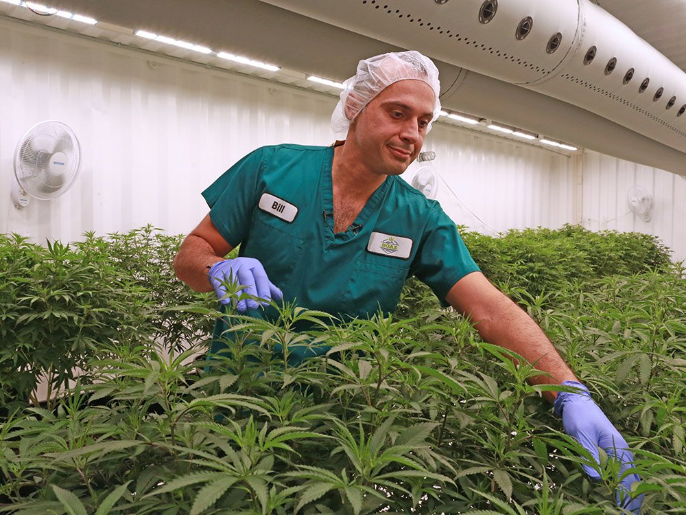 Take a look inside a licensed cannabis production facility. bit.ly/2zA6oqW @Boaz_Pharm