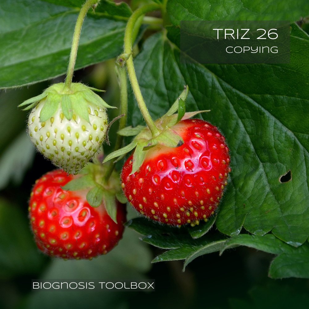 kreaWERFT's tweet photo. Time for another #Biognosis #TRIZ #Card!
Here's to the #InventivePrinciple 26, Copying. Suggested i.a. to resolve the #contradiction of #speed vs loss of #information - meaning if you want to go faster, you risk losing info.
#Seeds resolve that quite nicely, don't they. https://t.co/1tPqumG6cS