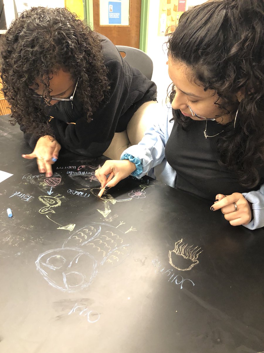 Aleah_Myers's tweet photo. My @RooseveltHSDC students creating food webs on our lab tables using the data that they collected. #DCPSstem π¦β¬
οΈπβ¬
οΈπ¦β¬
οΈπ± https://t.co/yq9RAxrArb