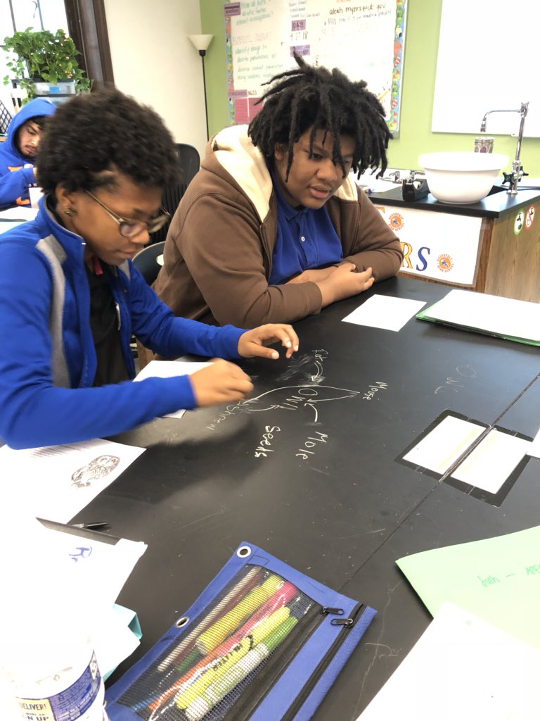 Aleah_Myers's tweet photo. My @RooseveltHSDC students creating food webs on our lab tables using the data that they collected. #DCPSstem π¦β¬
οΈπβ¬
οΈπ¦β¬
οΈπ± https://t.co/yq9RAxrArb