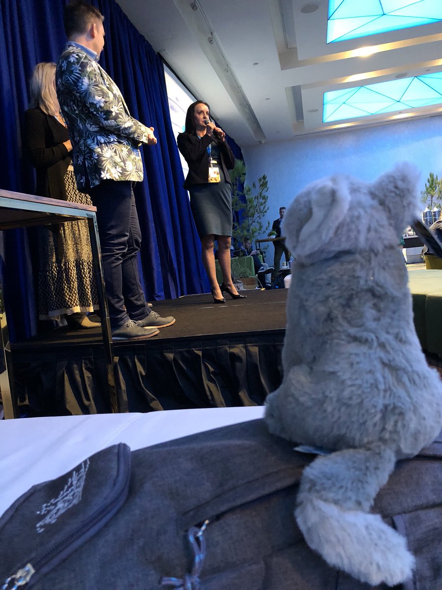 #BLAZE enjoying the #Equality in the #APAConTour Lounge #SuccessForAll #DF18 #salesforce <a href="/brycetweets15/">Bryce Marshall</a> <a href="/vcotte/">Vincent Cotte</a>