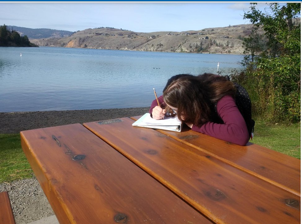 WLSeaton's tweet photo. Mr. N's students learning about ecology in the natural environment! #KalPark @sd22 https://t.co/nmO6vz9cY6