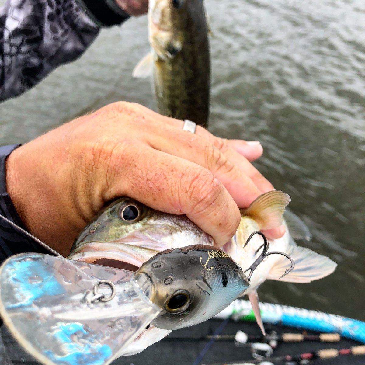 joeyfishing's tweet photo. The current is rolling and the spotted bass are chomping the Cloud 9! Late summer current has the fish stacked everywhere they are supposed to be! #cloud9cranking #joeyfishingguide 
@6thSenseLureCo 
@TFORods 
@Viciousfishing 
@HukGear 
@NitroBoats https://t.co/PanCcEWP1B