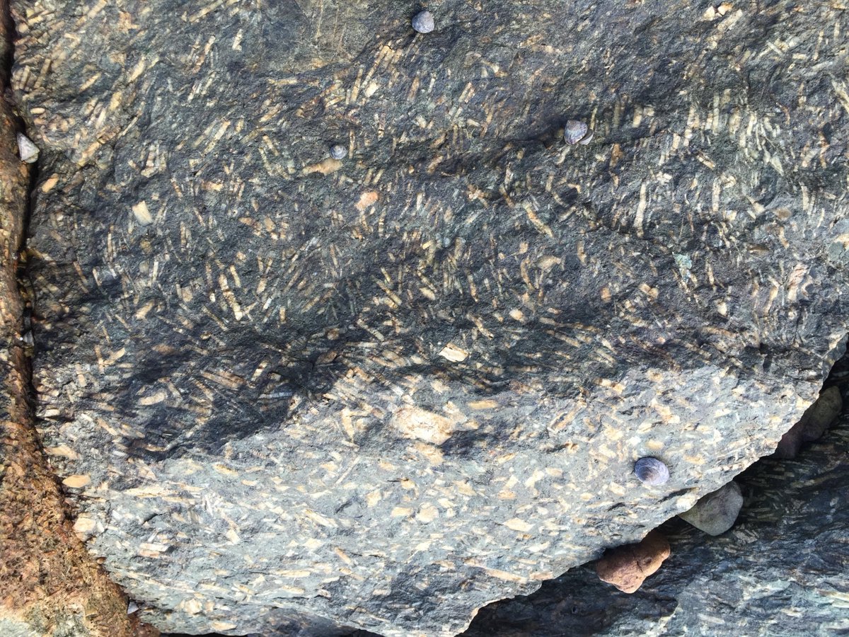 ROM_Resources's tweet image. ROM Resources had the opportunity to take in some interesting local geology while down in Tasmania, including Cretaceous intrusive rocks and Permian fossils. Click through to our blog to read about the experience: romresources.com.au/blog/tasmanian… | #Geology