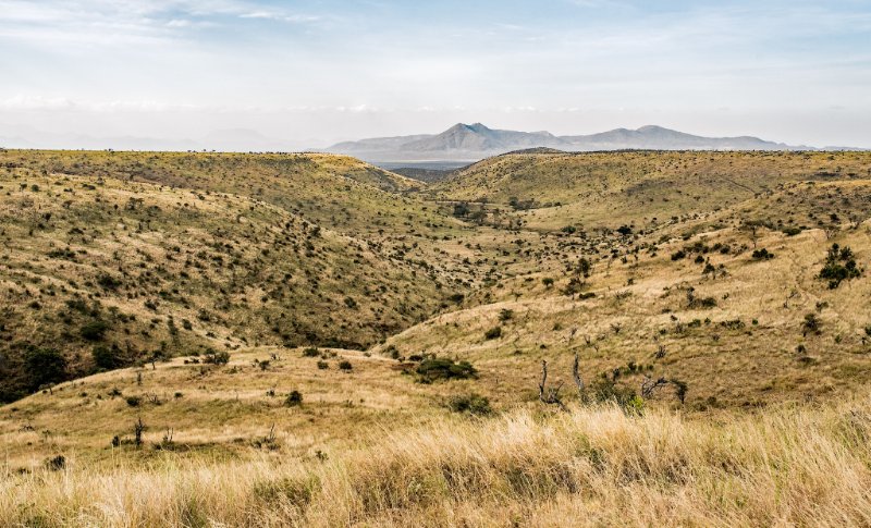 QUOBlockchain's tweet photo. Kenya is the only African nation to have exploited the Great Rift Valley, the eastern branch of the East African Rift. 

PC: David Clode (Isiolo, Kenya)

$VULC #vulcanocoin #crypto #cryptocurrencies #geology https://t.co/w0QYqAMu7v