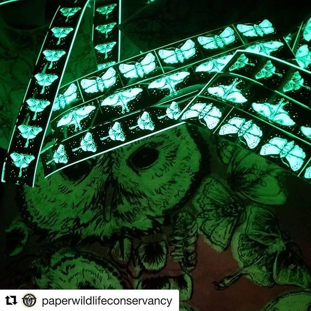 voidgallery's tweet image. Our project for @nuitblancheyxe on Saturday: @k8bitprints’ collaborative mural on the side of the Drinkle Building as part of @paperwildlifeconservancy. Join us from 7 to midnight and help make a glow-in-the-dark mural #nbyxe18 #iwentintothevoid

#Repost… ift.tt/2xL1rtR