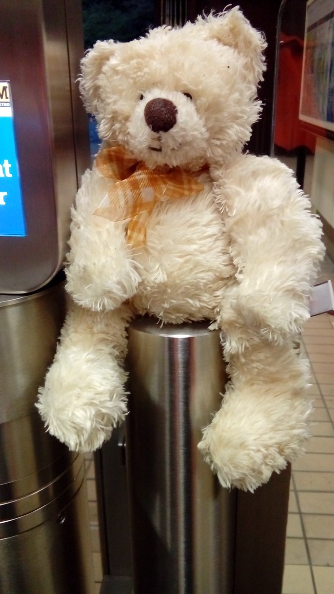 Please can you help find my home. I got lost on the steps at St James.
I'm missing my owner.