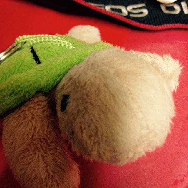 CleverTortue's tweet photo. #NouvellePhotoDeProfil https://t.co/rnpjRSeWKh
