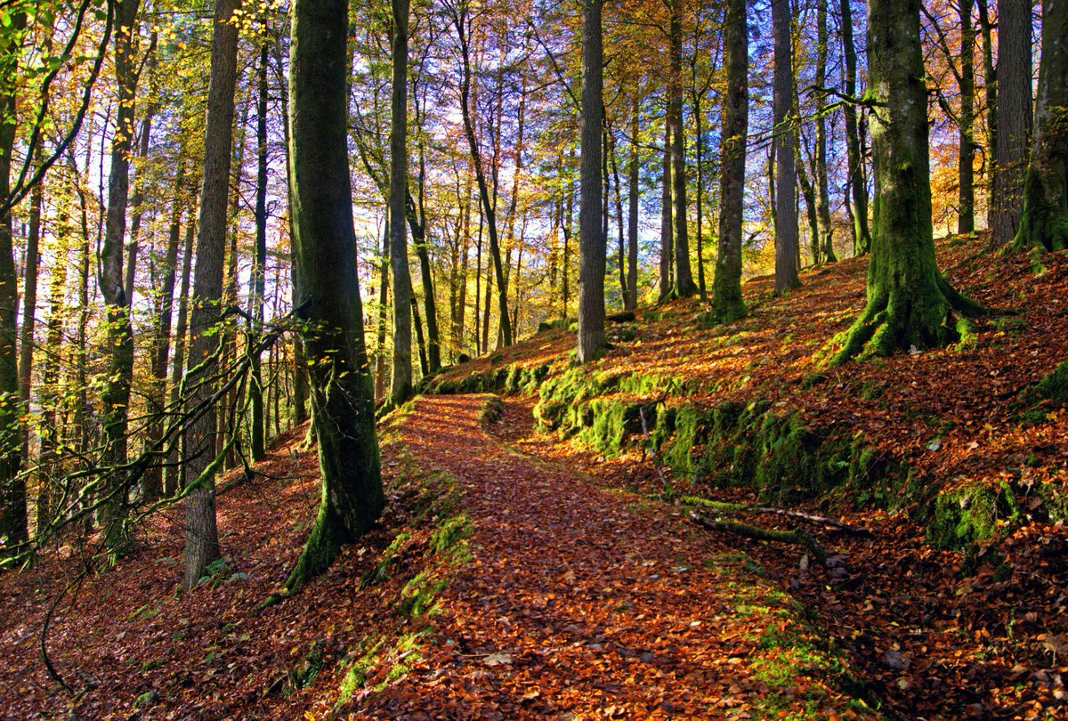 Cowalfest's tweet photo. ***Cowal Walking Festival 5 – 12 October 2018***

Just eight days to go before CowalFest begins eight days of walks, talks, and outdoor pursuits.

Have you made your reservations yet? Book at https://t.co/Hfks1oAG88 https://t.co/1z3nHSZWGt