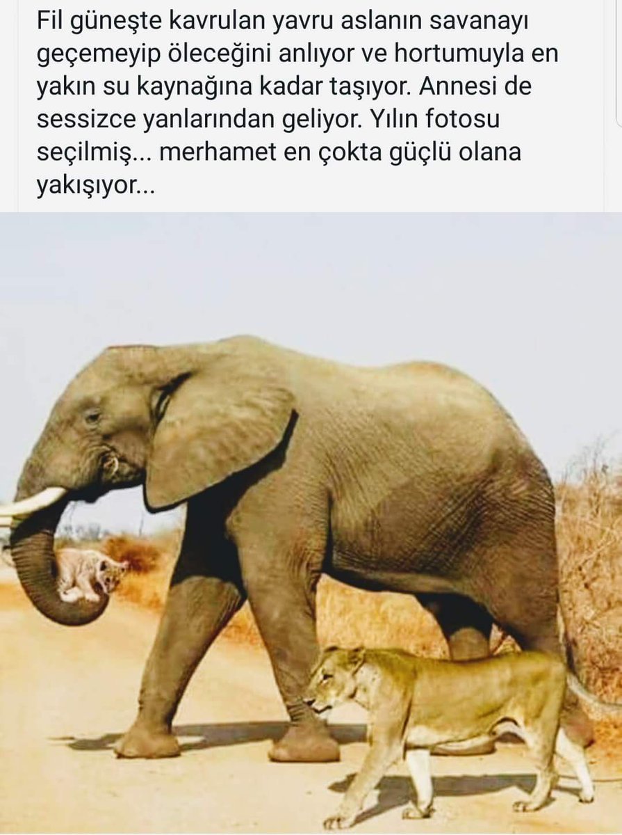 mucevherhanim's tweet photo. Seni seviyorum sözunden daha güçlüsü, 'hadi biraz gül, birlikte atlatacağız'dır.

"Merhamet belki çok yüce bir şey ve muhtemel ki, merhamet aşktan üstündür."

İsmet Özel https://t.co/e2BO8U2xPq
