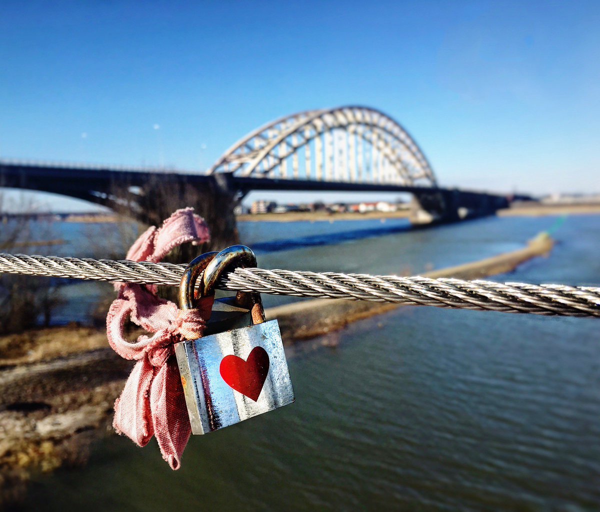 Summer Capital NL tweet media