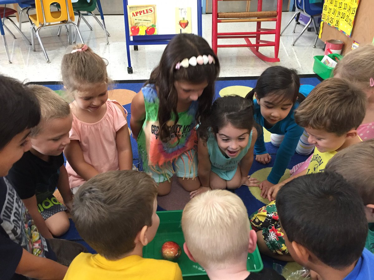 cn6rob's tweet photo. Ask these scientists if an apple sinks or floats!  Then ask them why!  Kindergarten learning the scientific process hands on!🍎 https://t.co/g6Zj8FZEb1