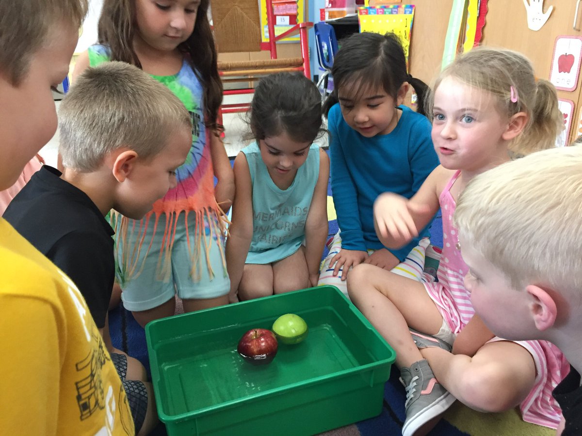 cn6rob's tweet photo. Ask these scientists if an apple sinks or floats!  Then ask them why!  Kindergarten learning the scientific process hands on!🍎 https://t.co/g6Zj8FZEb1